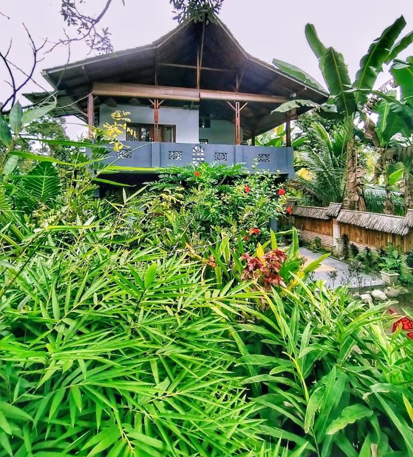 Sumatra Orangutan Discovery Villa Bukit Lawang Εξωτερικό φωτογραφία