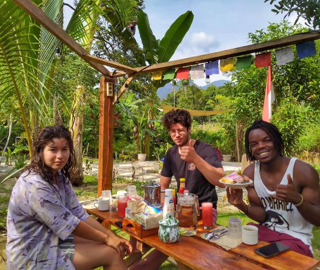 Sumatra Orangutan Discovery Villa Bukit Lawang Εξωτερικό φωτογραφία