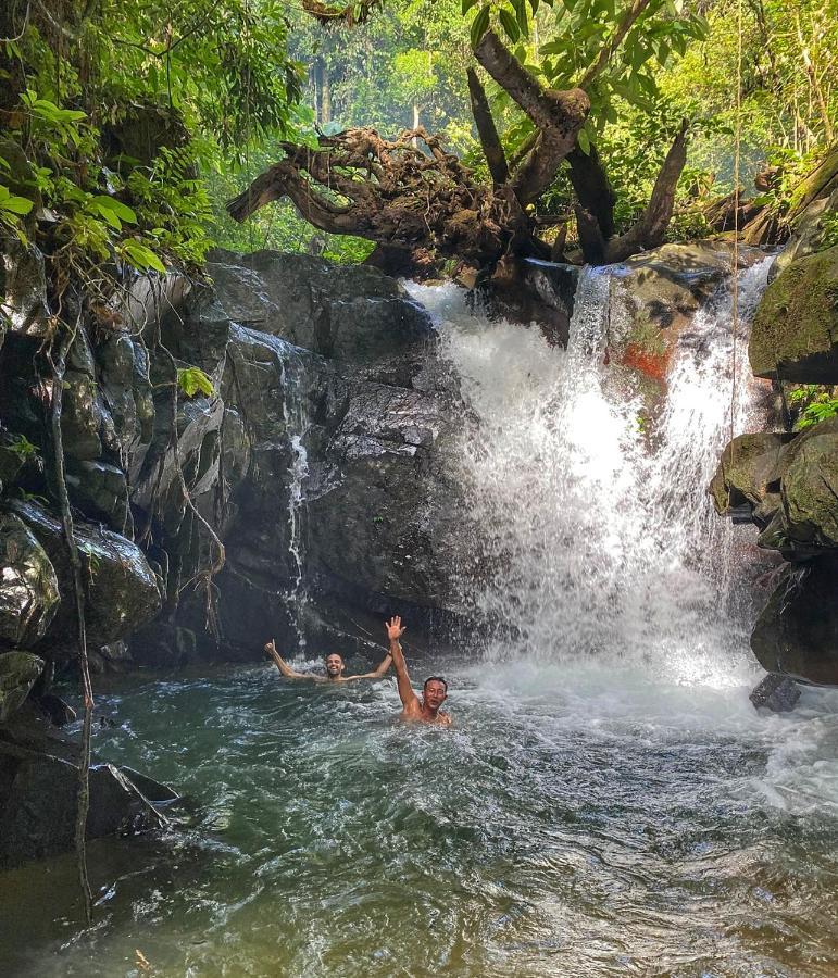 Sumatra Orangutan Discovery Villa Bukit Lawang Εξωτερικό φωτογραφία