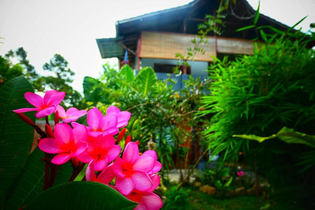 Sumatra Orangutan Discovery Villa Bukit Lawang Εξωτερικό φωτογραφία