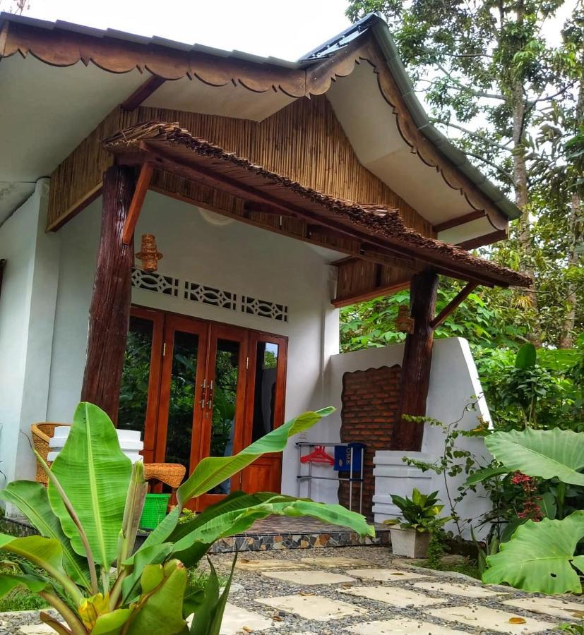 Sumatra Orangutan Discovery Villa Bukit Lawang Εξωτερικό φωτογραφία